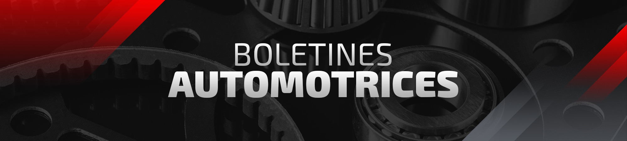 BOLETINEZ AUTOMOTRICES