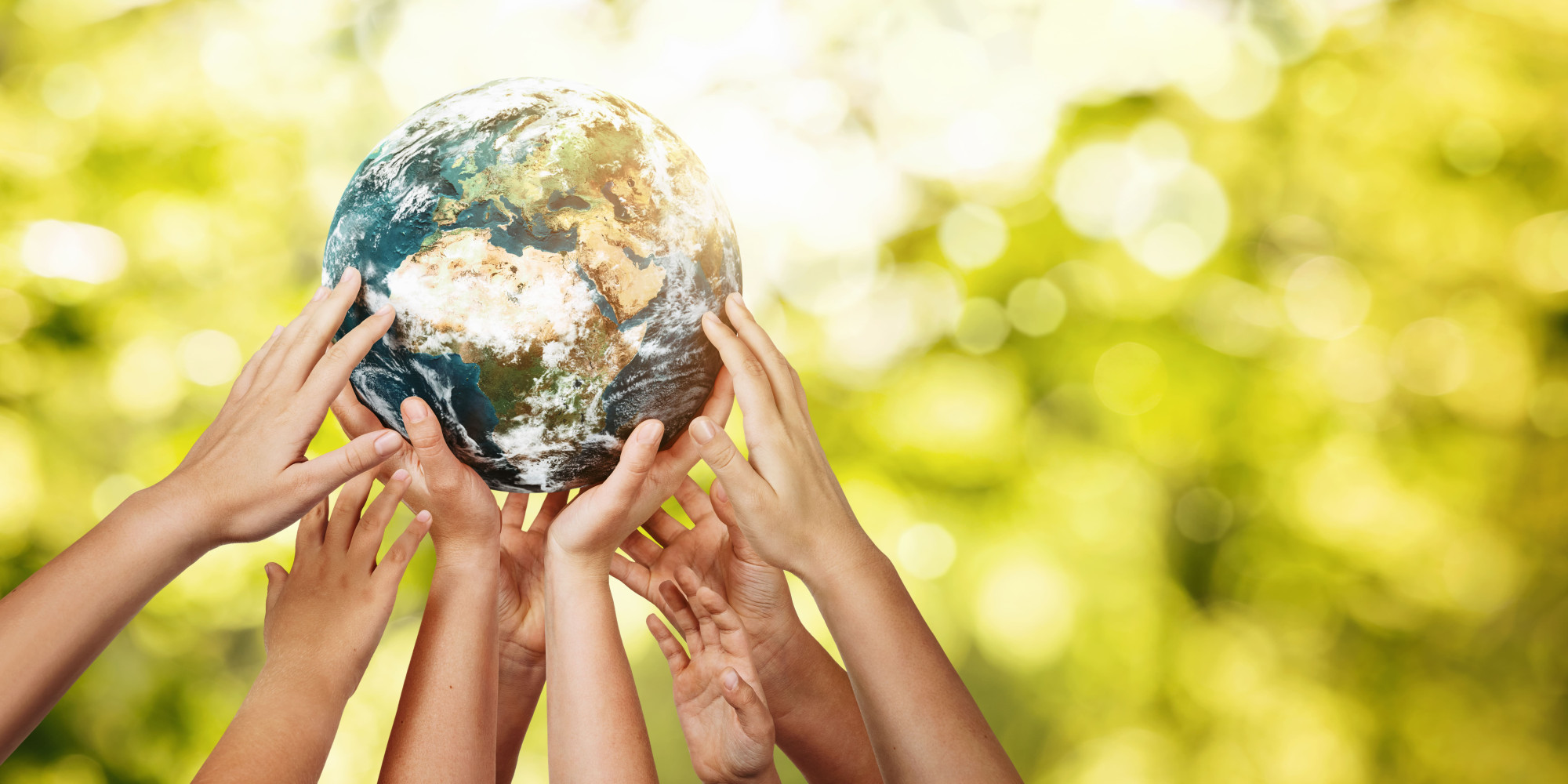 Construyendo un Mundo Más Inclusivo y Sostenible